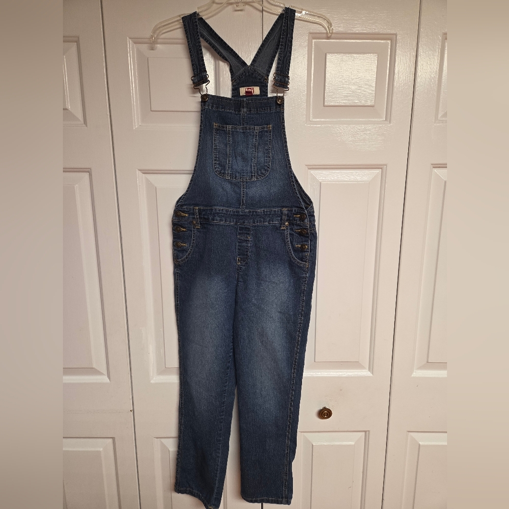 Men's Blue Denim Overalls